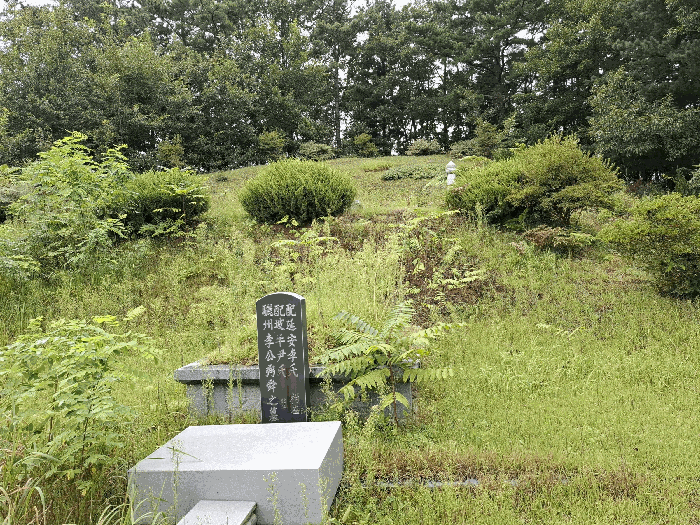 제시외 분묘 근경