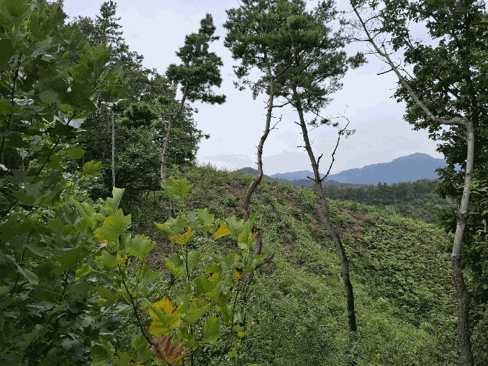 본건 전경