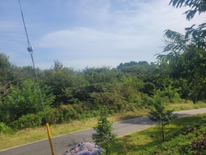목록2번