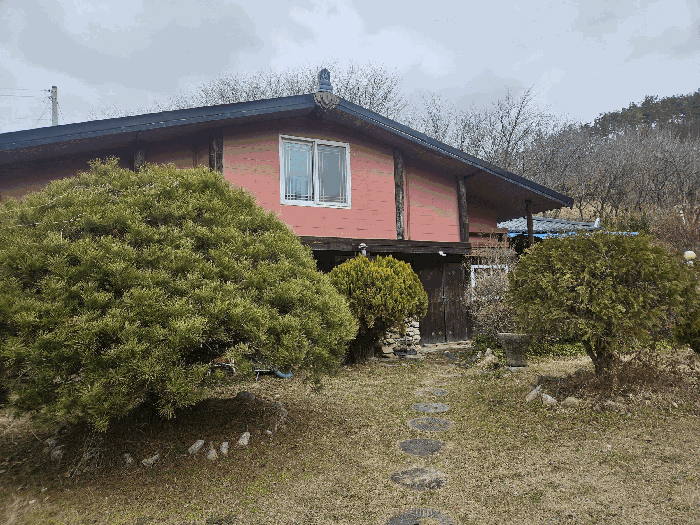 정원 (제시 외 수목 등)