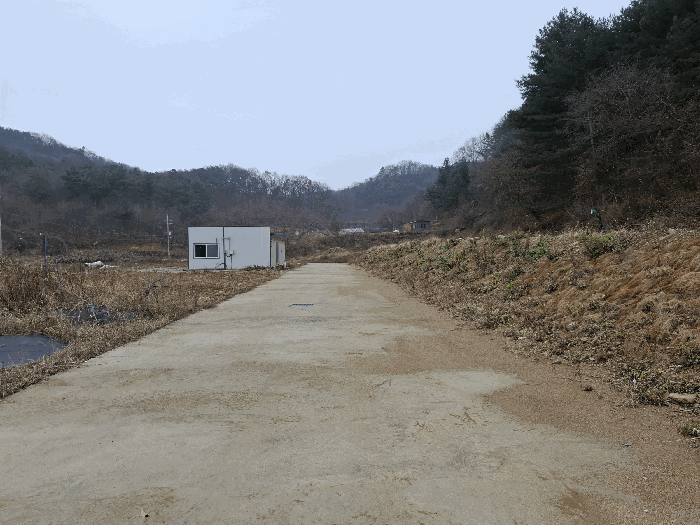 기호(11,23)) 근경