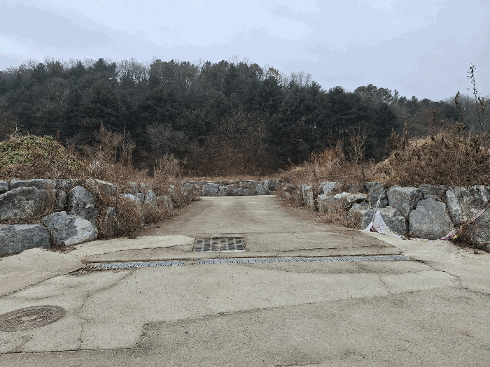 기호(2,3) 근경