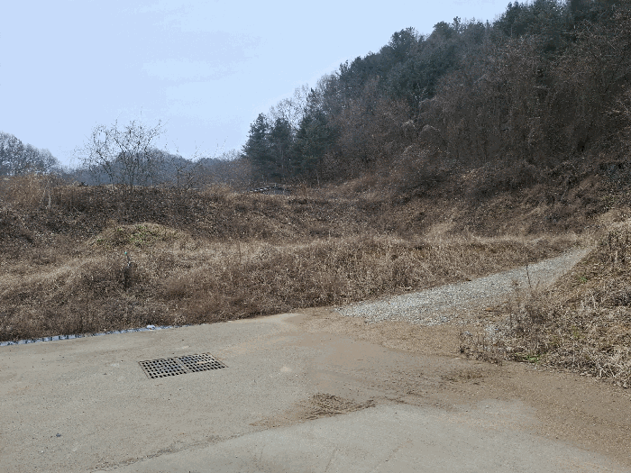 기호(8) 전경
