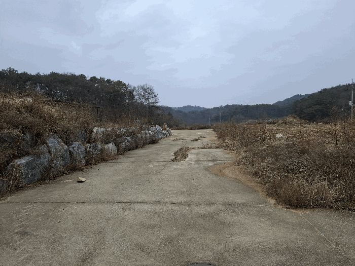 기호(2,5) 근경