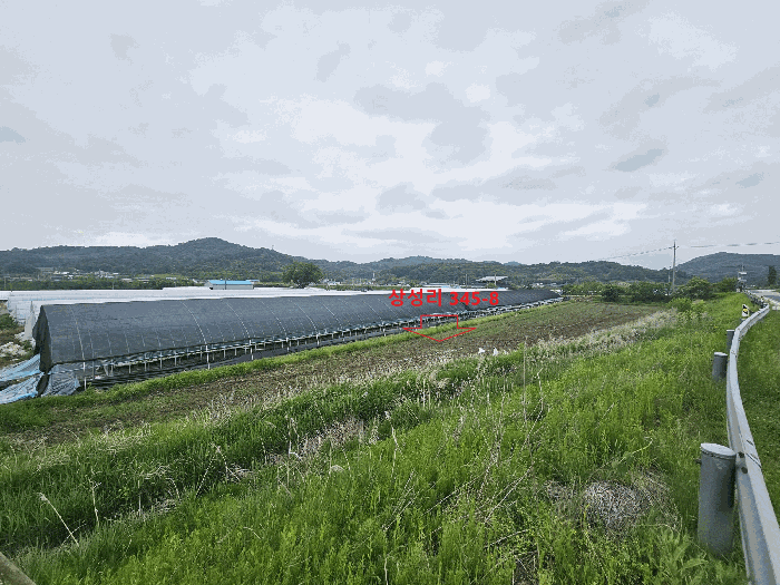 본건 전경