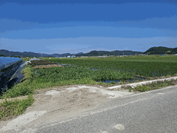본건 및 제시외 축산분뇨 근경