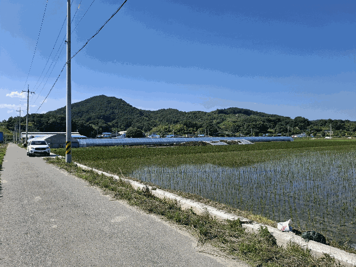 본건 전경 및 인접도로