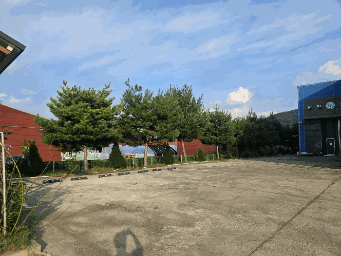 주차장 및 제시 외 수목 등
