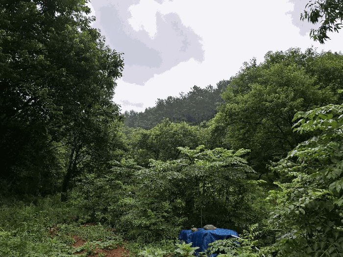 기호(2) 북동측 근경