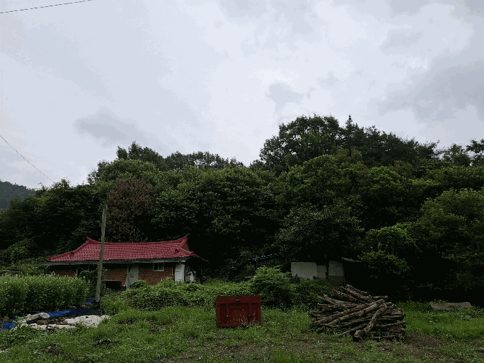 기호(2) 서측 전경