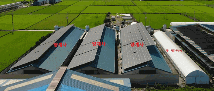 2025타경20352