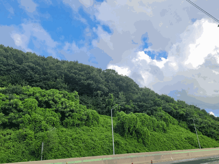 본건 전경