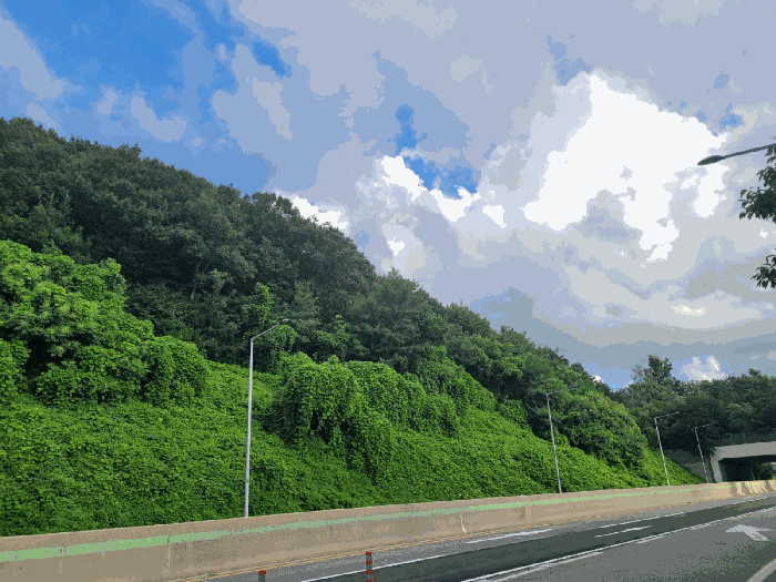 본건 전경