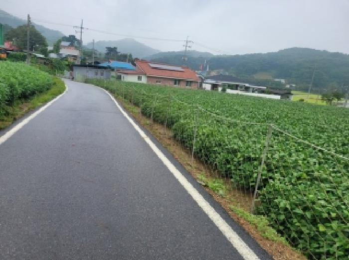 목록4번