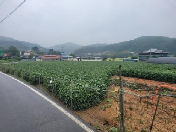 목록9~11번