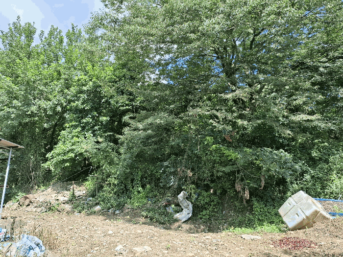 본건 전경