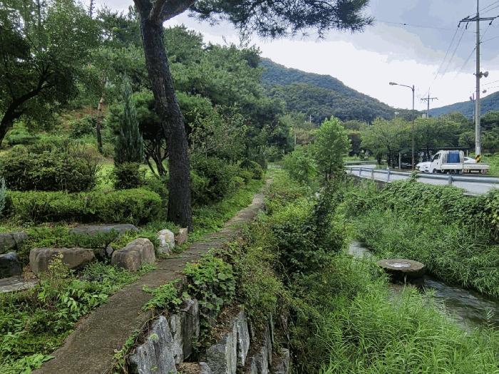 기호(1,6) 전경