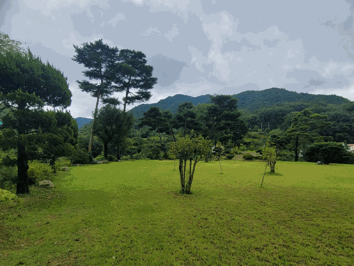 기호(9) 전경(언덕부분)