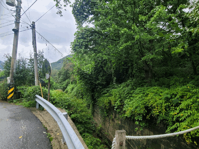 기호(2,3,7) 전경