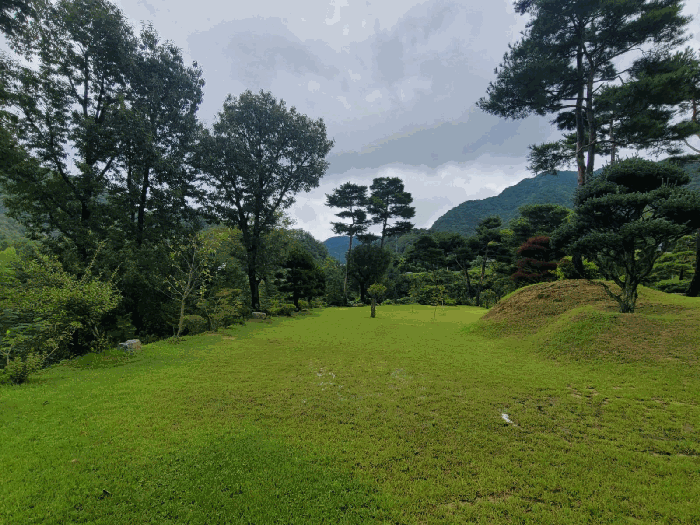 기호(9) 전경