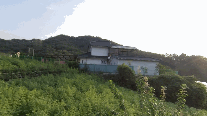 서측에서 바라본 전경