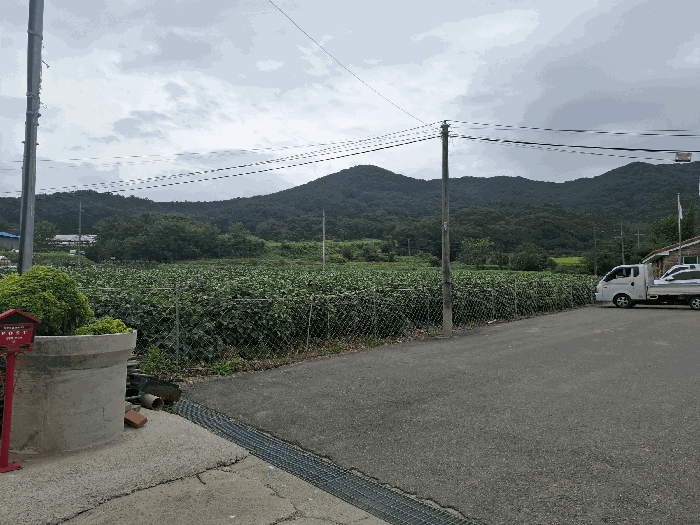 본건 전경