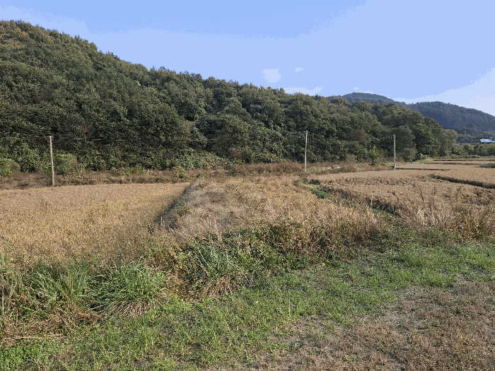 기호(1,4) 전경