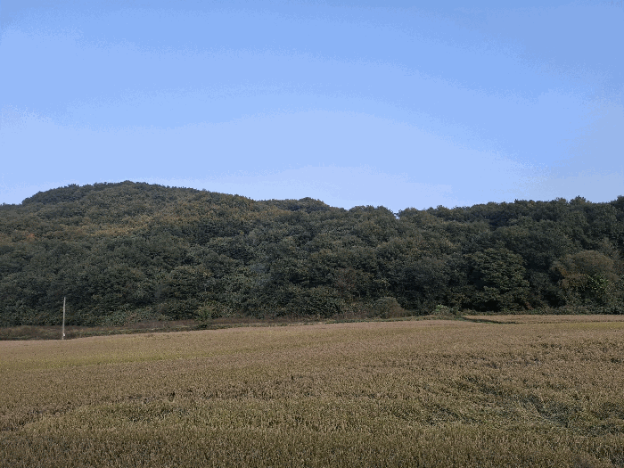 기호(4) 전경