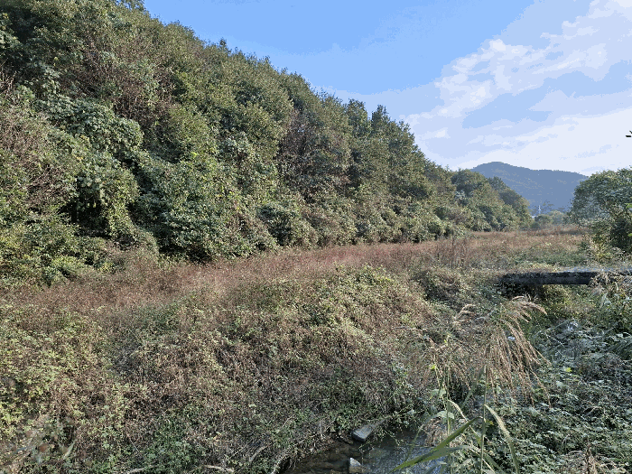 기호(2) 전경