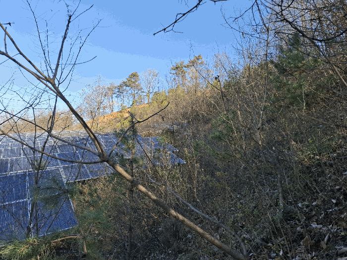 기호(1) 동측 전경