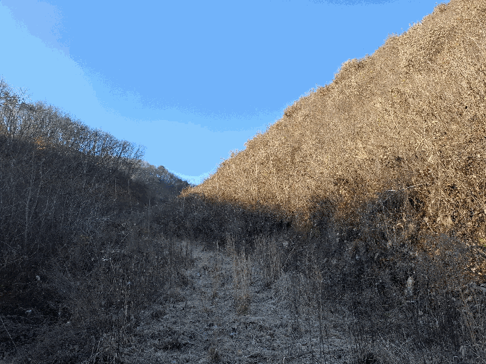 기호(2) 남동측 근경