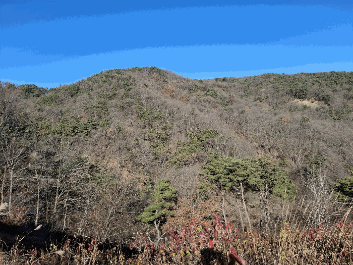기호(1) 전경