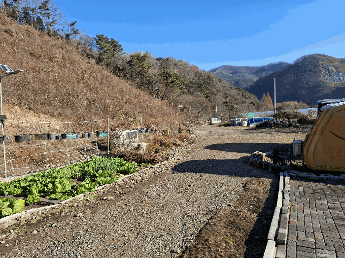 기호(2) 북동측 근경