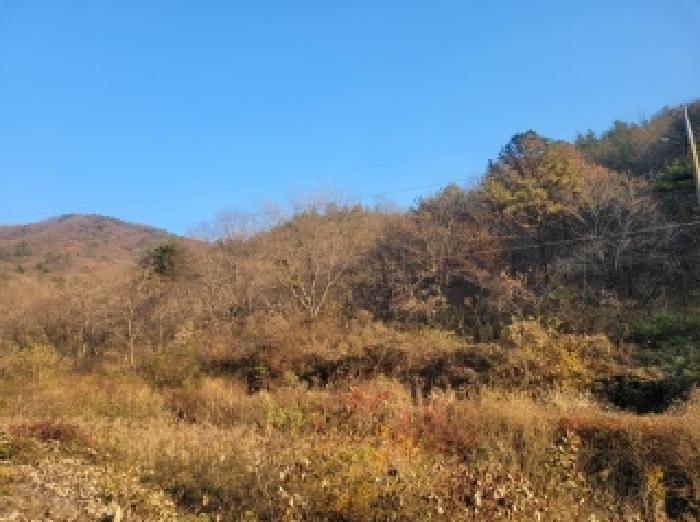목록1번