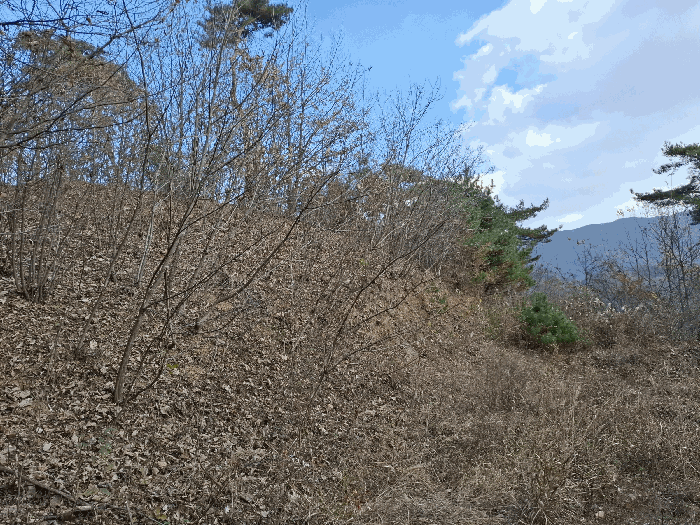 기호(6) 전경