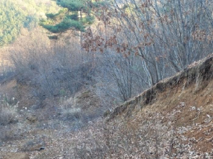 목록4번