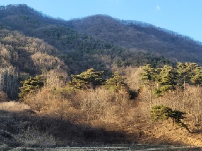 목록6번