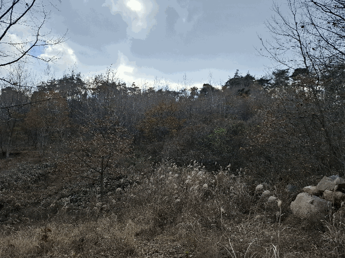 기호(1) 전경