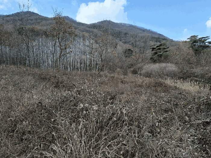 기호(8) 전경