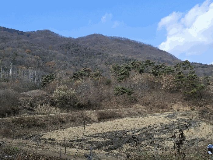 기호(6,7) 전경