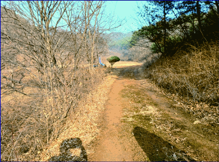 본건 (1) 토지