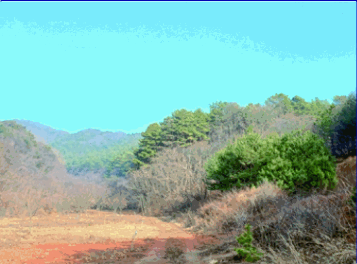 본건 (2) 토지 전경
