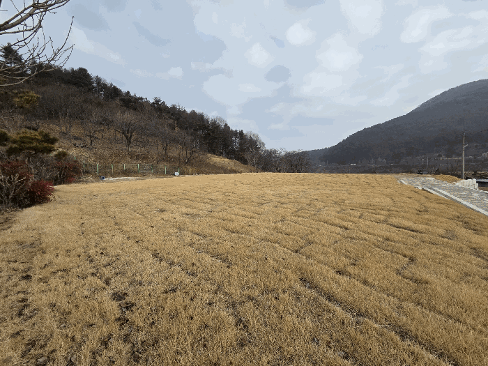 기호(2,3) 토지 전경(남측에서 촬영)