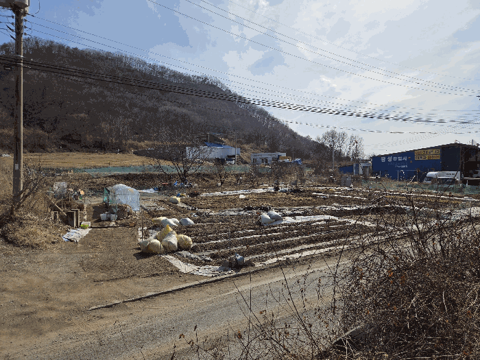 기호(6,7) 토지 전경(북측에서 촬영)