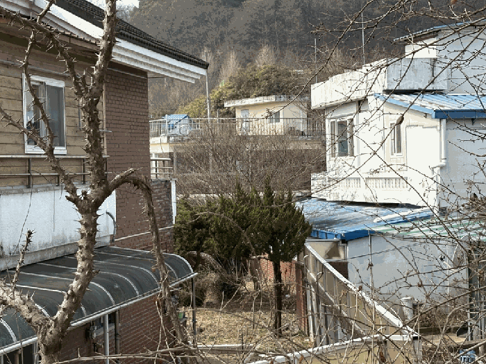 일련번호1, 2 후면전경