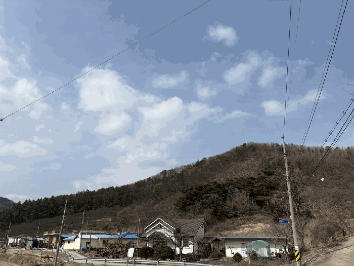 본건 전경