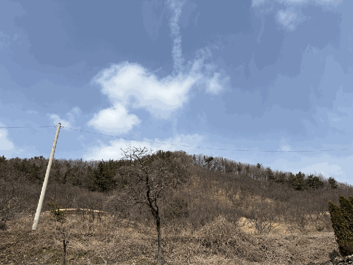 일련번호 3 전경