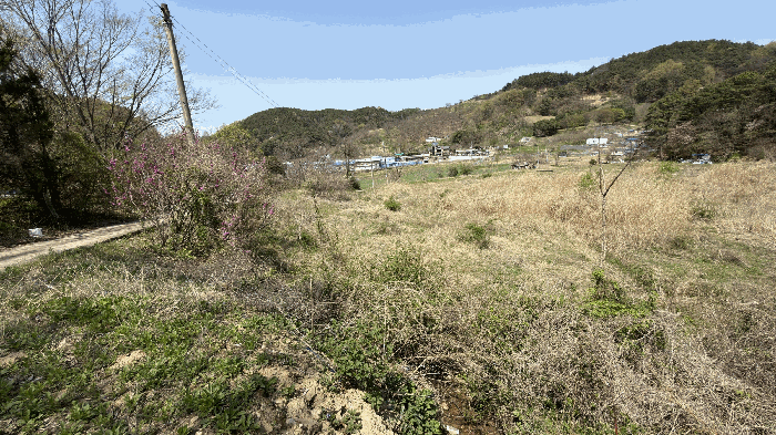 본건 기호(2) 남측에서 촬영
