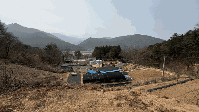 본건 인근환경