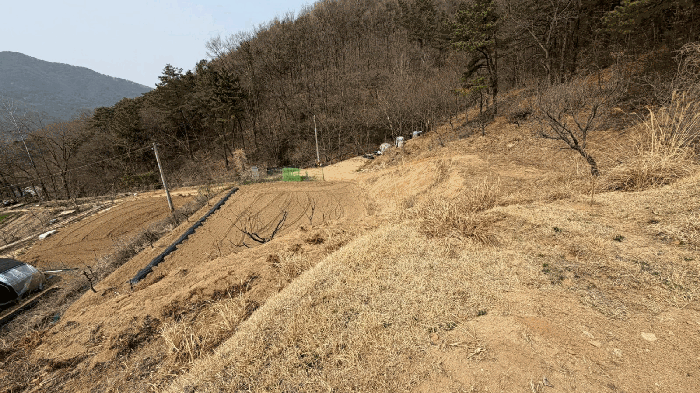 본건 남측에서 촬영